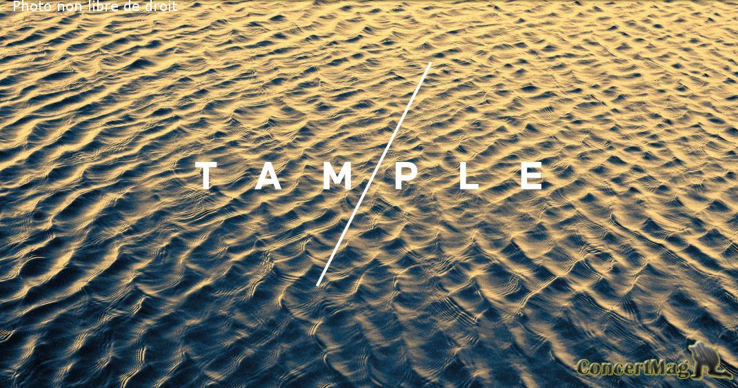 cover tample - Summer Light, le premier album envoûtant de Tample