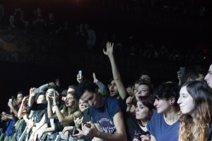 IMG_8241-1